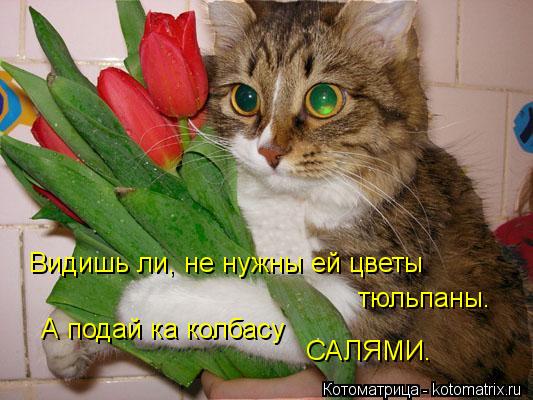 Видишь ли, не нужны ей цветы тюльпаны. А подай ка колбасу САЛЯМИ.... Котоматрица: Видишь ли, не нужны ей цветы тюльпаны. А подай ка колбасу САЛЯМИ.
