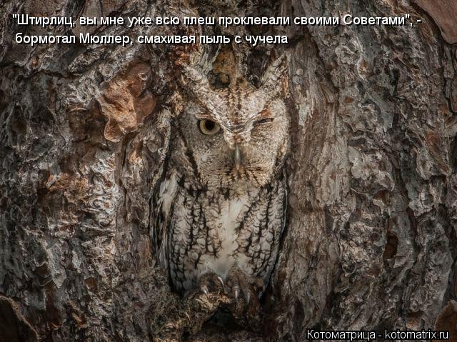 "Штирлиц, вы мне уже всю плеш проклевали своими Советами", - бормотал Мюллер, смахивая пыль с чучела... Котоматрица: "Штирлиц, вы мне уже всю плеш проклевали своими Советами", - бормотал Мюллер, смахивая пыль с чучела