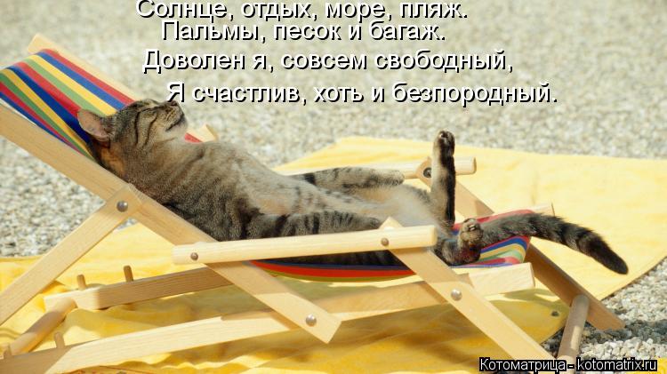 Солнце, отдых, море, пляж. Пальмы, песок и багаж. Доволен я, совсем свободный, Я счастлив, хоть и без... Котоматрица: Солнце, отдых, море, пляж. Пальмы, песок и багаж. Доволен я, совсем свободный, Я счастлив, хоть и безпородный.