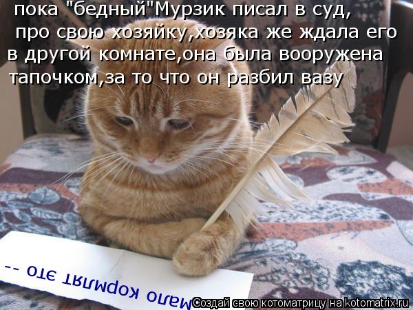 мало кормлят это -- пока "бедный"Мурзик писал в суд, про свою хозяйку,хозяка же ждала его в другой к... Котоматрица: мало кормлят это -- пока "бедный"Мурзик писал в суд, про свою хозяйку,хозяка же ждала его в другой комнате,она была вооружена тапочком,за то ч