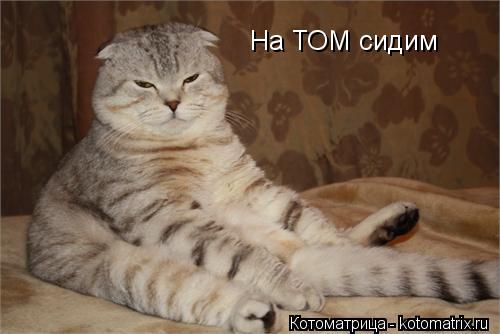 Котоматрица: На ТОМ сидим