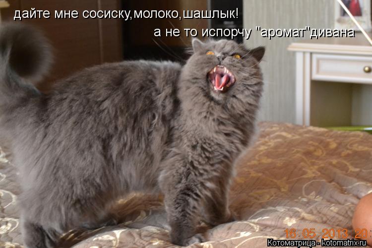 дайте мне сосиску,молоко,шашлык! а не то испорчу "аромат"дивана... Котоматрица: дайте мне сосиску,молоко,шашлык! а не то испорчу "аромат"дивана