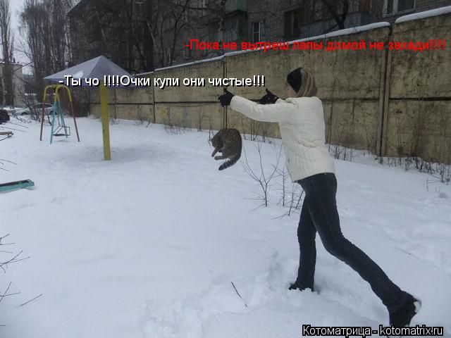 -Пока не вытреш лапы домой не захади!!!! -Ты чо !!!!Очки купи они чистые!!!... Котоматрица: -Пока не вытреш лапы домой не захади!!!! -Ты чо !!!!Очки купи они чистые!!!