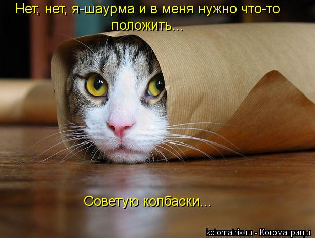 Нет, нет, я-шаурма и в меня нужно что-то положить... Советую колбаски...... Котоматрица: Нет, нет, я-шаурма и в меня нужно что-то положить... Советую колбаски...