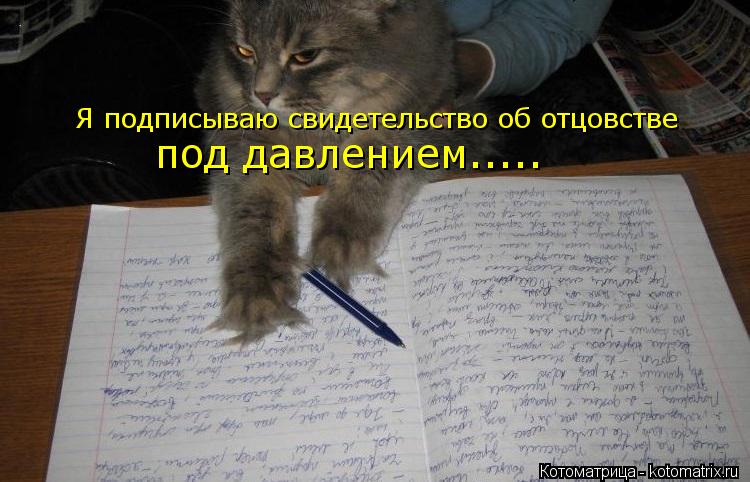 Я подписываю свидетельство об отцовстве под давлением........ Котоматрица: Я подписываю свидетельство об отцовстве под давлением.....