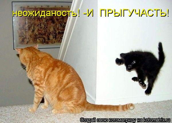 неожиданость! -И ПРЫГУЧАСТЬ!... Котоматрица: неожиданость! -И ПРЫГУЧАСТЬ!