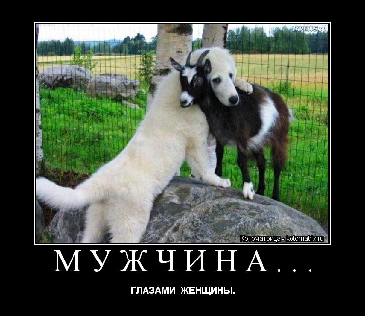 МУЖЧИНА... ГЛАЗАМИ ЖЕНЩИНЫ.... Котоматрица: МУЖЧИНА... ГЛАЗАМИ ЖЕНЩИНЫ.