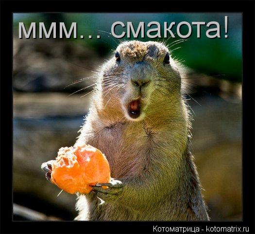 ммм... смакота!... Котоматрица: ммм... смакота!