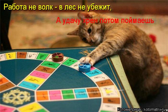 Работа не волк - в лес не убежит, А удачу хрен потом поймаешь... Котоматрица: Работа не волк - в лес не убежит, А удачу хрен потом поймаешь