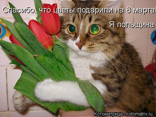 Котоматрица: Спасибо, что цветы подарили на 8 марта! Я польщина !  Я польщина !