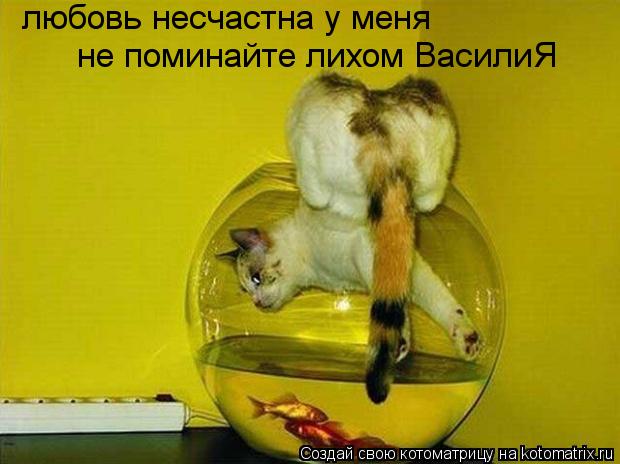 любовь несчастна у меня не поминайте лихом ВасилиЯ... Котоматрица: любовь несчастна у меня не поминайте лихом ВасилиЯ