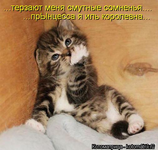 ...терзают меня смутные сомненья.... ...прЫнцесса я иль королевна... ...терзают меня смутные сомненья... Котоматрица: ...терзают меня смутные сомненья.... ...прЫнцесса я иль королевна... ...терзают меня смутные сомненья....