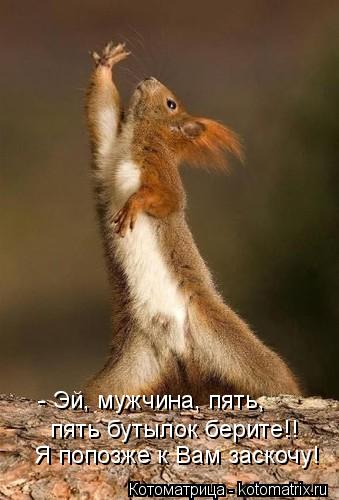 - Эй, мужчина, пять, пять бутылок берите!! Я попозже к Вам заскочу!... Котоматрица: - Эй, мужчина, пять, пять бутылок берите!! Я попозже к Вам заскочу!