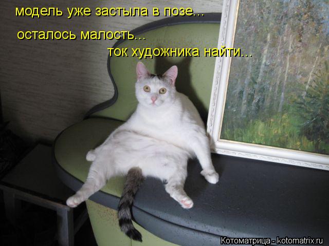 модель уже застыла в позе... осталось малость... ток художника найти...... Котоматрица: модель уже застыла в позе... осталось малость... ток художника найти...