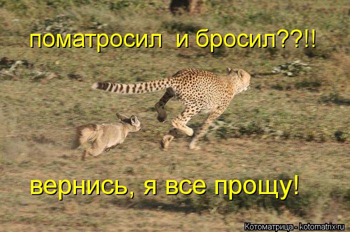 поматросил и бросил??!! вернись, я все прощу!... Котоматрица: поматросил и бросил??!! вернись, я все прощу!
