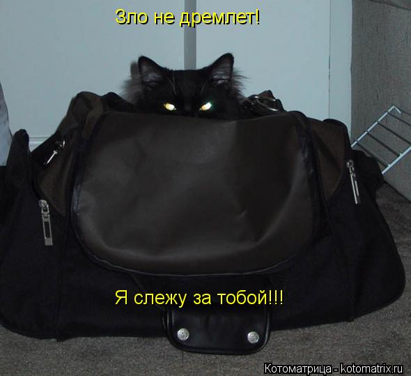 Котоматрица: Зло не дремлет! Я слежу за тобой!!!