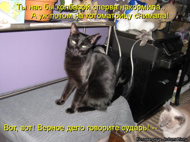 Ты нас бы колбасой сперва накормила.. А уж потом на котоматрицу снимала! Вот, вот! Верное дело говори... Котоматрица: Ты нас бы колбасой сперва накормила.. А уж потом на котоматрицу снимала! Вот, вот! Верное дело говорите сударь! --