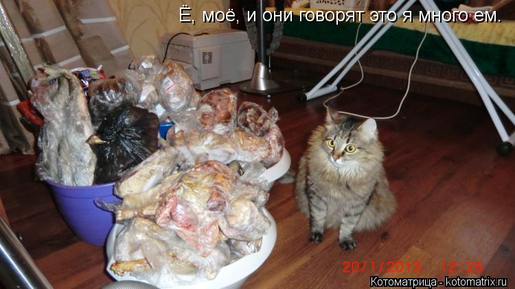 Ё, моё, и они говорят это я много ем.... Котоматрица: Ё, моё, и они говорят это я много ем.