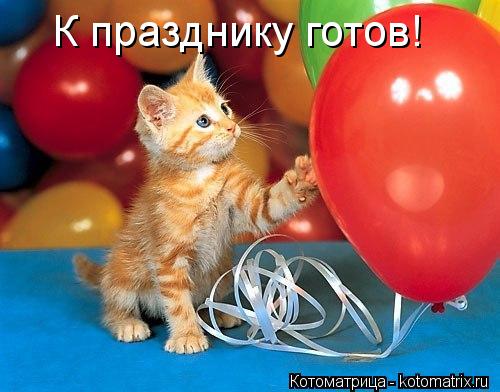 К празднику готов!... Котоматрица: К празднику готов!