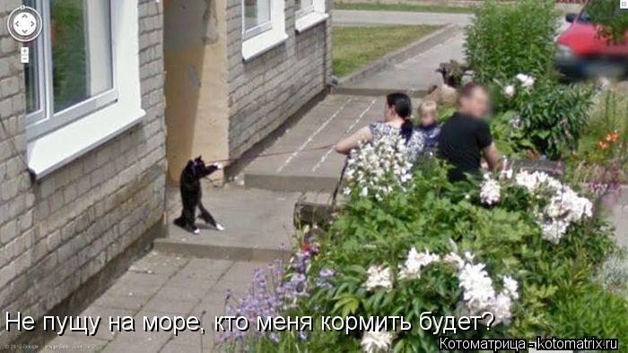 Котоматрица: Не пущу на море, кто меня кормить будет?