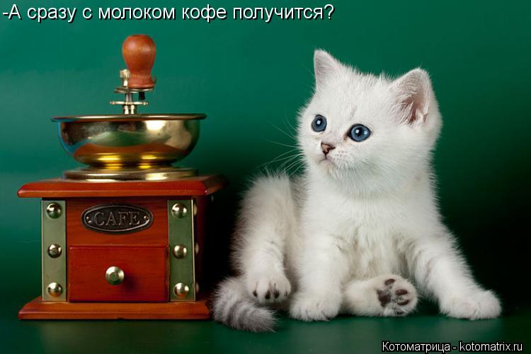 -А сразу с молоком кофе получится?... Котоматрица: -А сразу с молоком кофе получится?