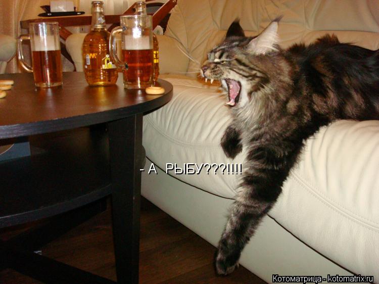 - А РЫБУ???!!!!... Котоматрица: - А РЫБУ???!!!!