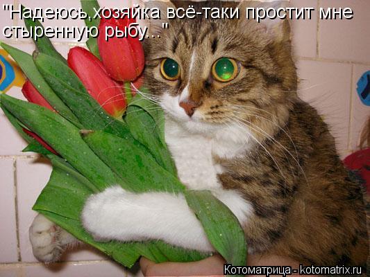 "Надеюсь,хозяйка всё-таки простит мне стыренную рыбу..."... Котоматрица: "Надеюсь,хозяйка всё-таки простит мне стыренную рыбу..."
