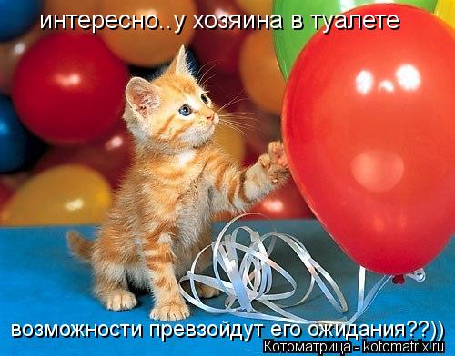 интересно..у хозяина в туалете возможности превзойдут его ожидания??))... Котоматрица: интересно..у хозяина в туалете возможности превзойдут его ожидания??))