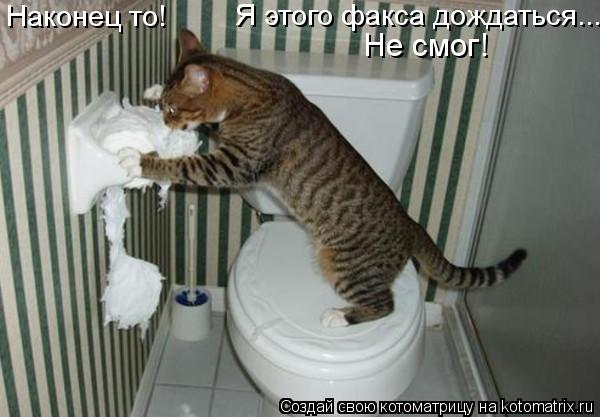 Наконец то! Я этого факса дождаться... Не смог!... Котоматрица: Наконец то! Я этого факса дождаться... Не смог!