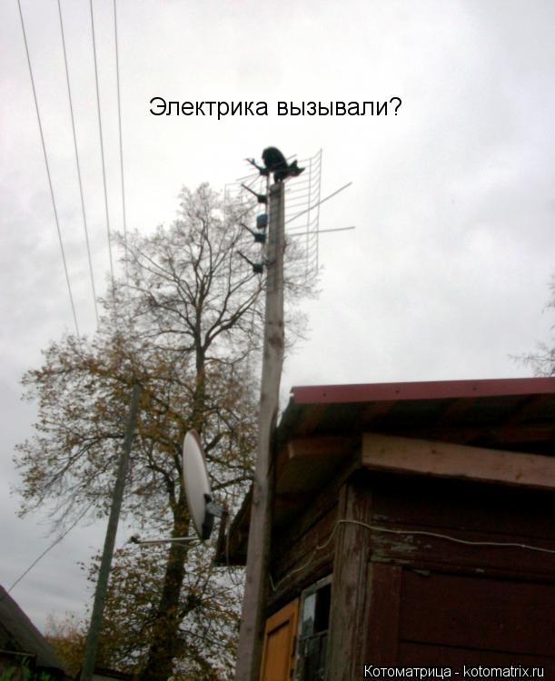 Электрика вызывали?... Котоматрица: Электрика вызывали?