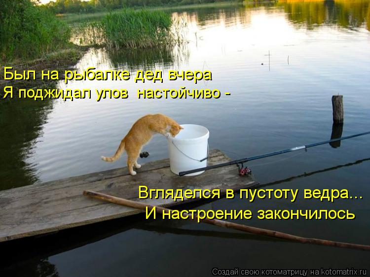 Был на рыбалке дед вчера Я поджидал улов настойчиво - Вгляделся в пустоту ведра... И настроение зак... Котоматрица: Был на рыбалке дед вчера Я поджидал улов настойчиво - Вгляделся в пустоту ведра... И настроение закончилось