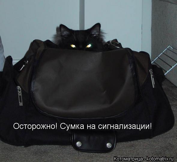 Осторожно! Сумка на сигнализации!... Котоматрица: Осторожно! Сумка на сигнализации!