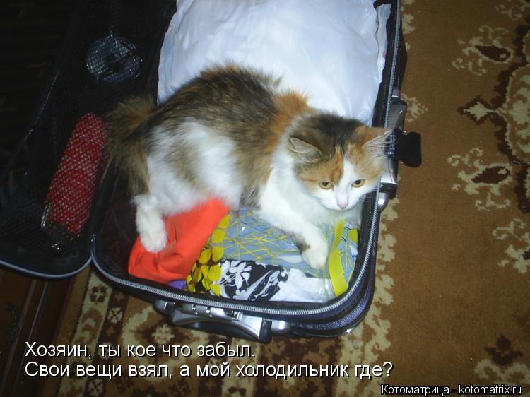 Хозяин, ты кое что забыл. Свои вещи взял, а мой холодильник где?... Котоматрица: Хозяин, ты кое что забыл. Свои вещи взял, а мой холодильник где?