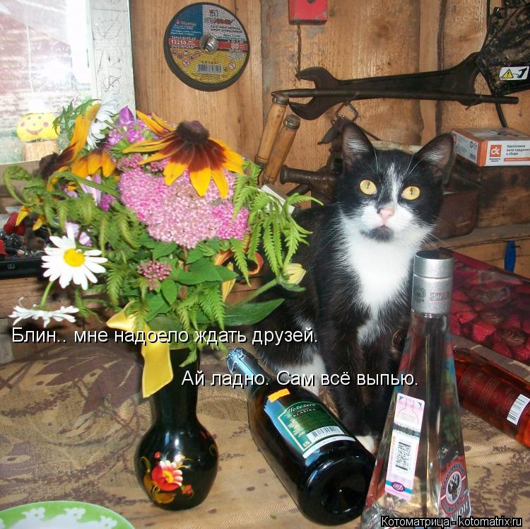 Блин.. мне надоело ждать друзей. Ай ладно. Сам всё выпью.... Котоматрица: Блин.. мне надоело ждать друзей. Ай ладно. Сам всё выпью.