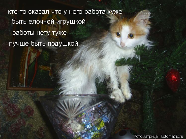 кто то сказал что у него работа хуже............... быть ёлочной игрушкой работы нету туже лучше быт... Котоматрица: кто то сказал что у него работа хуже............... быть ёлочной игрушкой работы нету туже лучше быть подушкой