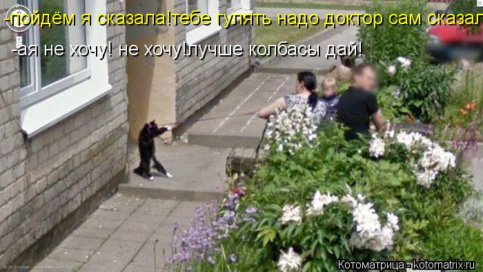 -пойдём я сказала!тебе гулять надо доктор сам сказал! -ая не хочу! не хочу!лучше колбасы дай!... Котоматрица: -пойдём я сказала!тебе гулять надо доктор сам сказал! -ая не хочу! не хочу!лучше колбасы дай!