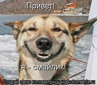 Привет! я - смайлик!... Котоматрица: Привет! я - смайлик!
