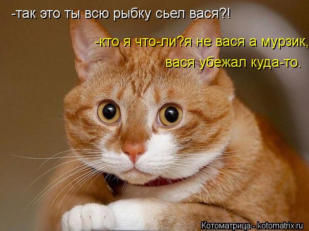 -так это ты всю рыбку сьел вася?! -кто я что-ли?я не вася а мурзик, вася убежал куда-то.... Котоматрица: -так это ты всю рыбку сьел вася?! -кто я что-ли?я не вася а мурзик, вася убежал куда-то.