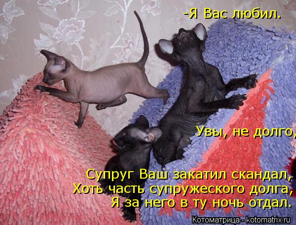 -Я Вас любил. Увы, не долго, Супруг Ваш закатил скандал, Хоть часть супружеского долга, Я за него в ... Котоматрица: -Я Вас любил. Увы, не долго, Супруг Ваш закатил скандал, Хоть часть супружеского долга, Я за него в ту ночь отдал.