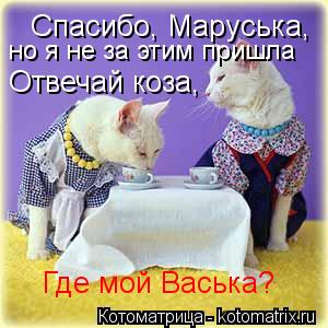 Спасибо, Маруська, но я не за этим пришла Отвечай коза, Где мой Васька?... Котоматрица: Спасибо, Маруська, но я не за этим пришла Отвечай коза, Где мой Васька?