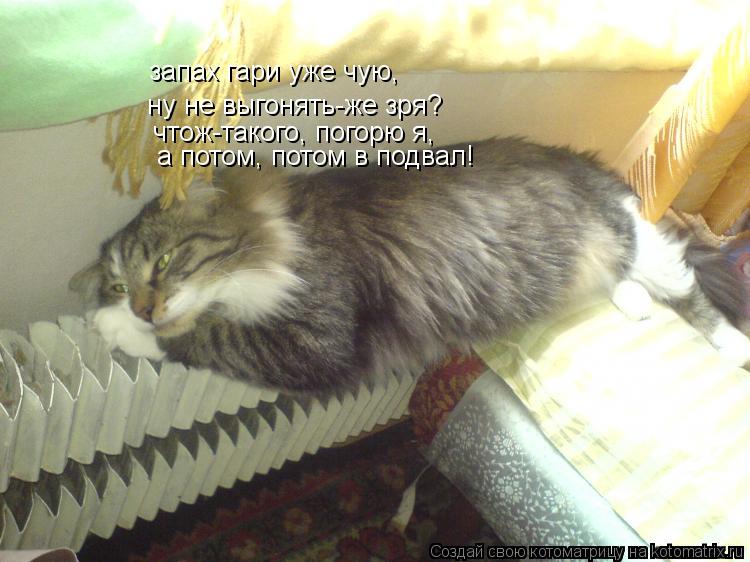 запах гари уже чую, ну не выгонять-же зря? чтож-такого, погорю я, а потом, потом в подвал!... Котоматрица: запах гари уже чую, ну не выгонять-же зря? чтож-такого, погорю я, а потом, потом в подвал!