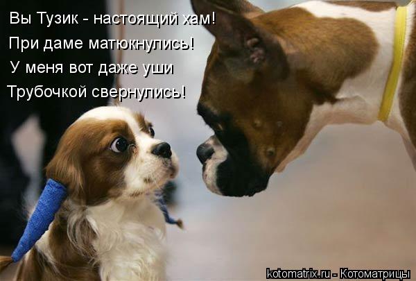 Вы Тузик - настоящий хам! При даме матюкнулись! У меня вот даже уши Трубочкой свернулись!... Котоматрица: Вы Тузик - настоящий хам! При даме матюкнулись! У меня вот даже уши Трубочкой свернулись!