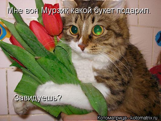 Мне вон Мурзик какой букет подарил. Завидуешь?... Котоматрица: Мне вон Мурзик какой букет подарил. Завидуешь?