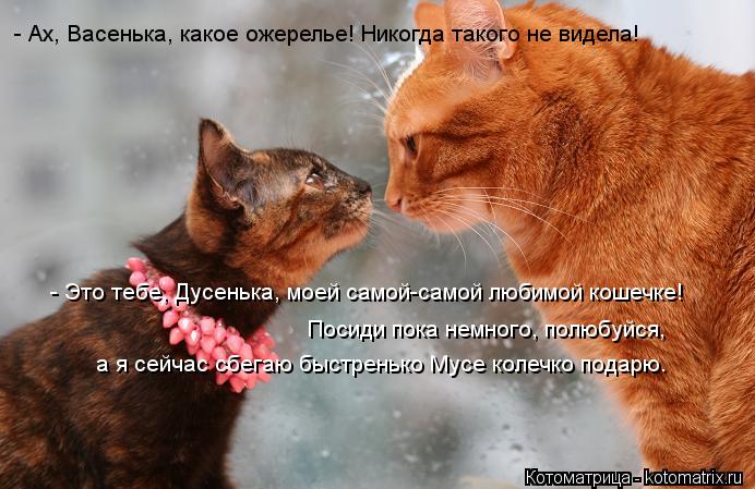 - Ах, Васенька, какое ожерелье! Никогда такого не видела! Посиди пока немного, полюбуйся, а я сейчас... Котоматрица: - Ах, Васенька, какое ожерелье! Никогда такого не видела! Посиди пока немного, полюбуйся, а я сейчас сбегаю быстренько Мусе колечко подарю. -