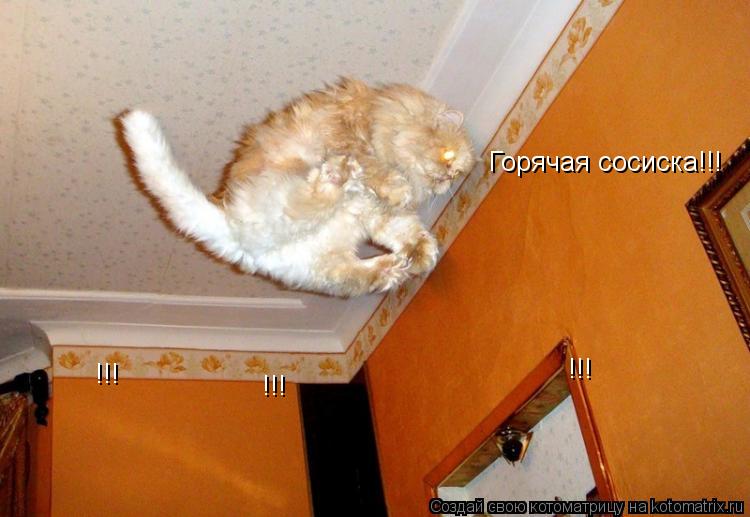 Горячая сосиска!!! !!! !!! !!!... Котоматрица: Горячая сосиска!!! !!! !!! !!!