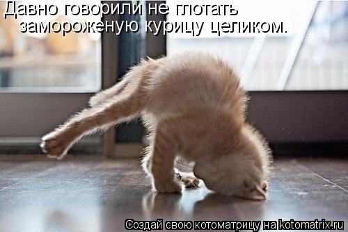 Давно говорили не глотать замороженую курицу целиком.... Котоматрица: Давно говорили не глотать замороженую курицу целиком.