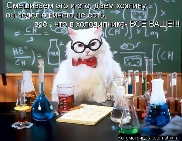 Котоматрица: Смешиваем это и это, даём хозяину, он неделю ничего не есть, всё , что в холодилнике- ВСЁ ВАШЕ!!!