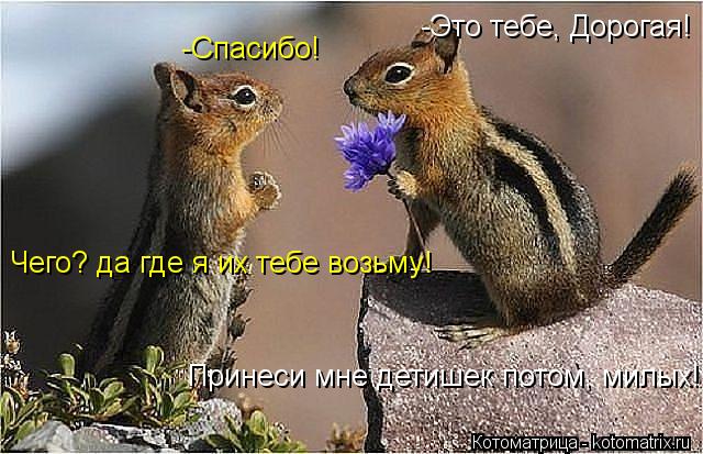 -Это тебе, Дорогая! -Спасибо! Принеси мне детишек потом, милых! Чего? да где я их тебе возьму!... Котоматрица: -Это тебе, Дорогая! -Спасибо! Принеси мне детишек потом, милых! Чего? да где я их тебе возьму!