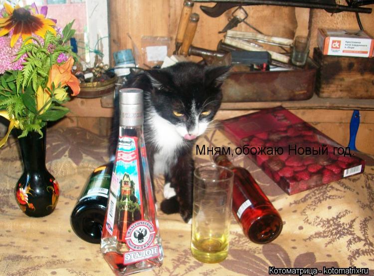 Мням,обожаю Новый год.... Котоматрица: Мням,обожаю Новый год.