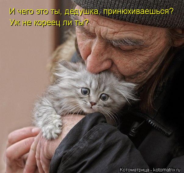 И чего это ты, дедушка, принюхиваешься? И чего это ты, дедушка, принюхиваешься? Уж не кореец ли ты?... Котоматрица: И чего это ты, дедушка, принюхиваешься? И чего это ты, дедушка, принюхиваешься? Уж не кореец ли ты?